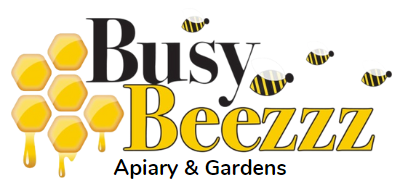 Busy Beezzz Apiary & Gardens